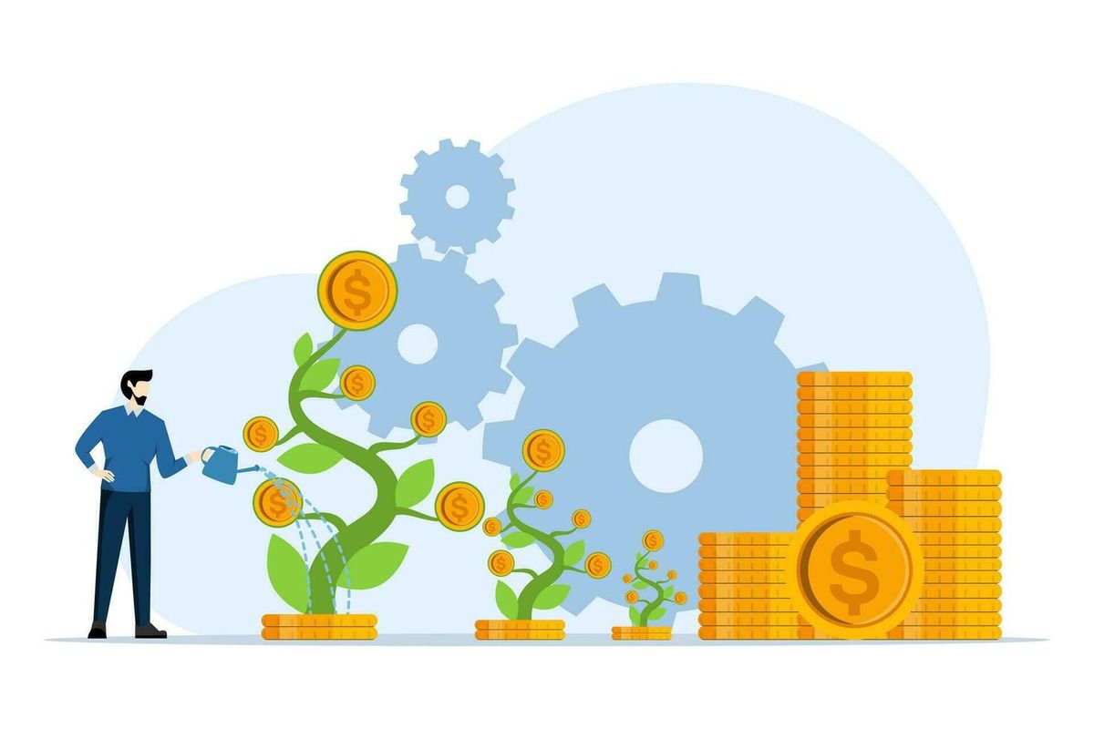 Lifestyle Fashion Financial Visibility