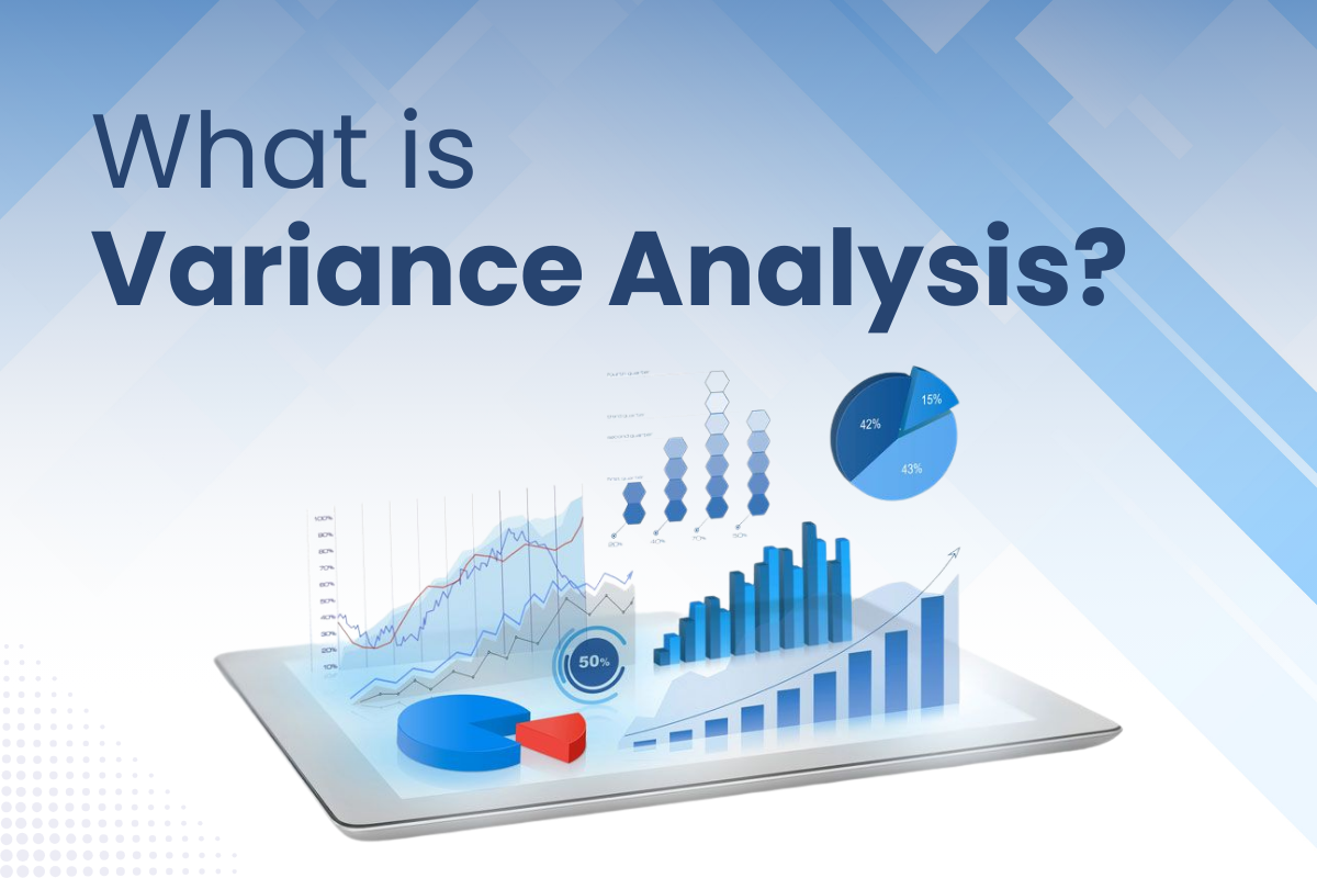 Variance Analysis Services